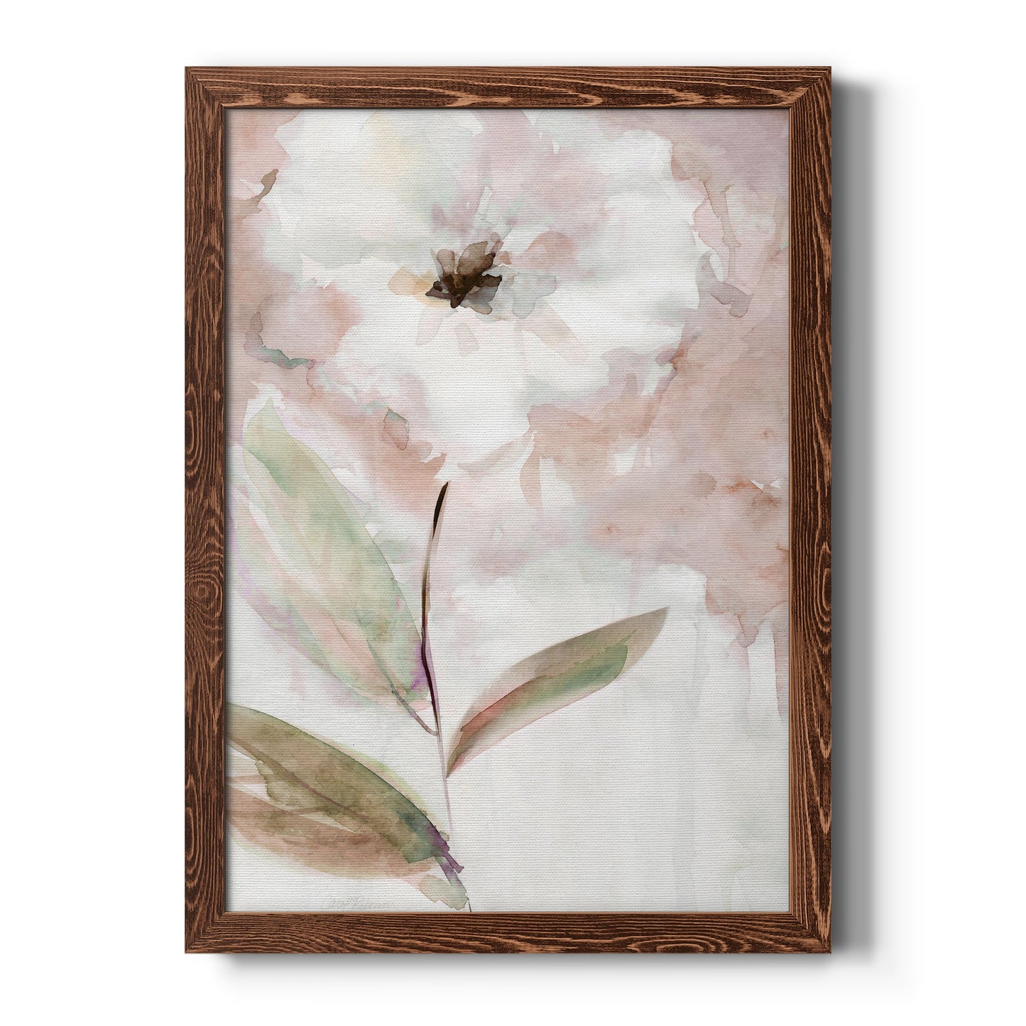 Summer Bloom I - Barnwood Framed Canvas Print