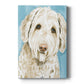 Labradoodle I - Canvas Art Print