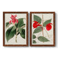 Flora of the Tropics I - Barnwood Framed Canvas Set
