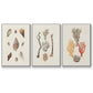 Knorr Shells & Coral IV - Framed Premium Gallery Wrapped Canvas L Frame 3 Piece Set - Ready to Hang