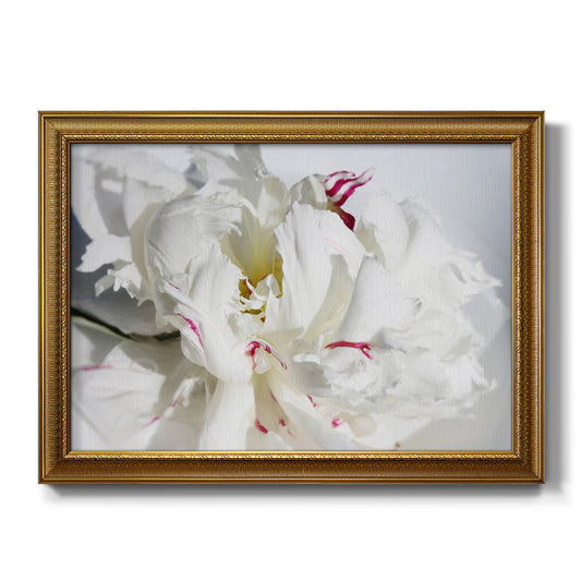 Breathless I Premium Framed Canvas- Ready to Hang