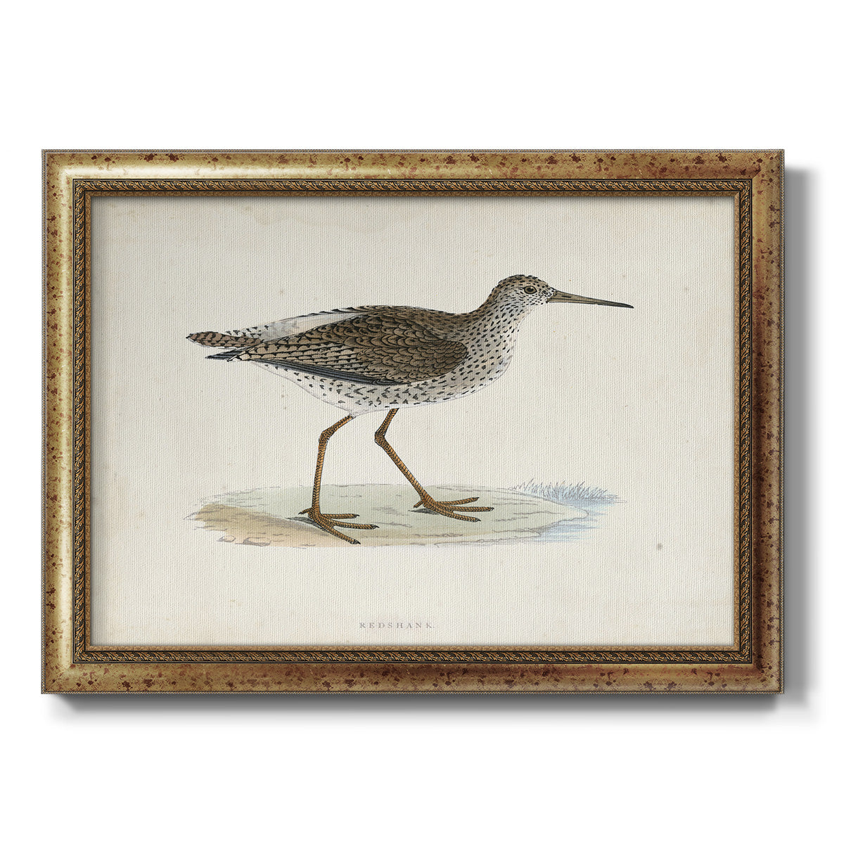 Morris Sandpipers V Premium Framed Canvas- Ready to Hang