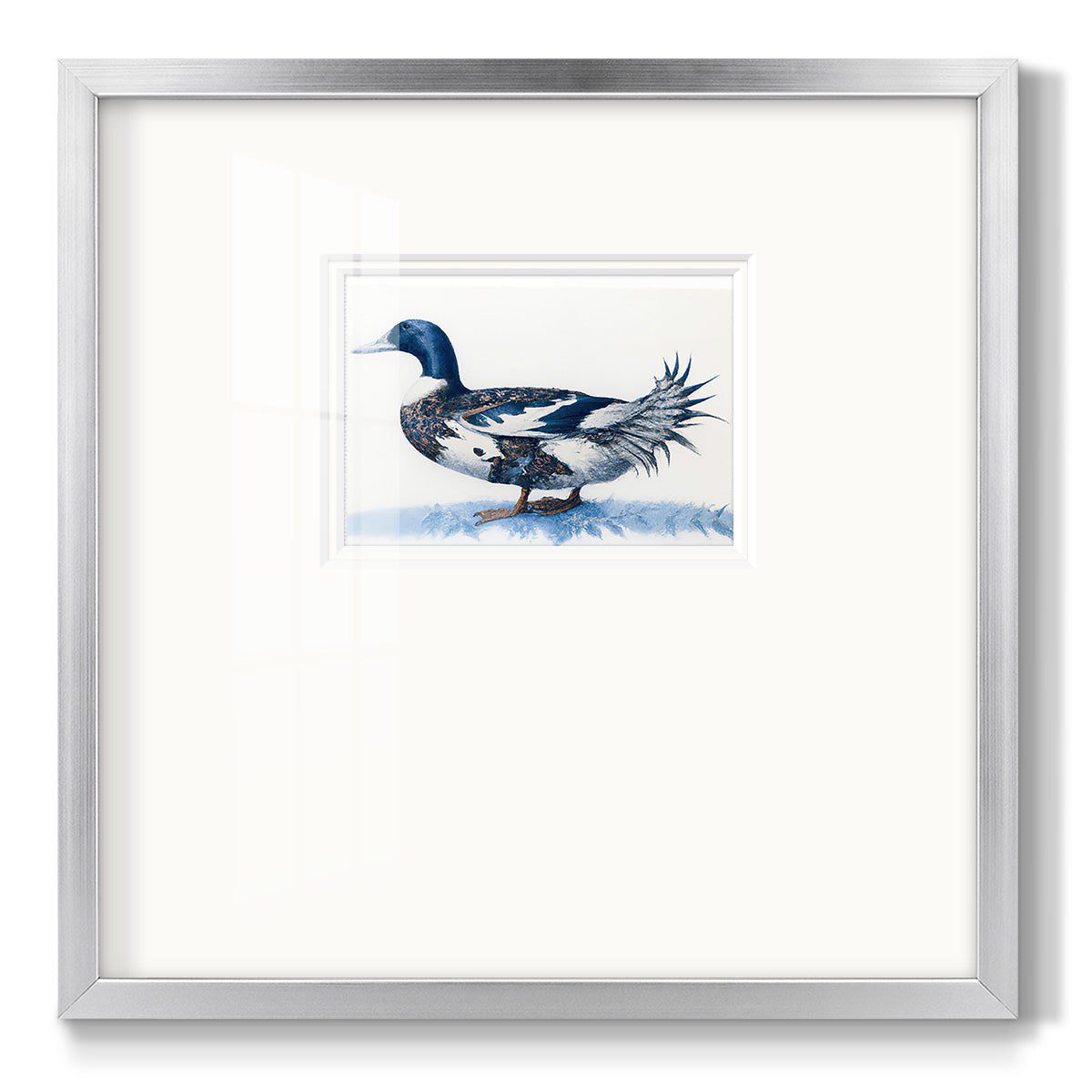 Mallard Blue II - Double Matboard Framed Print