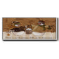 Snowballs - Floater Framed Canvas Print