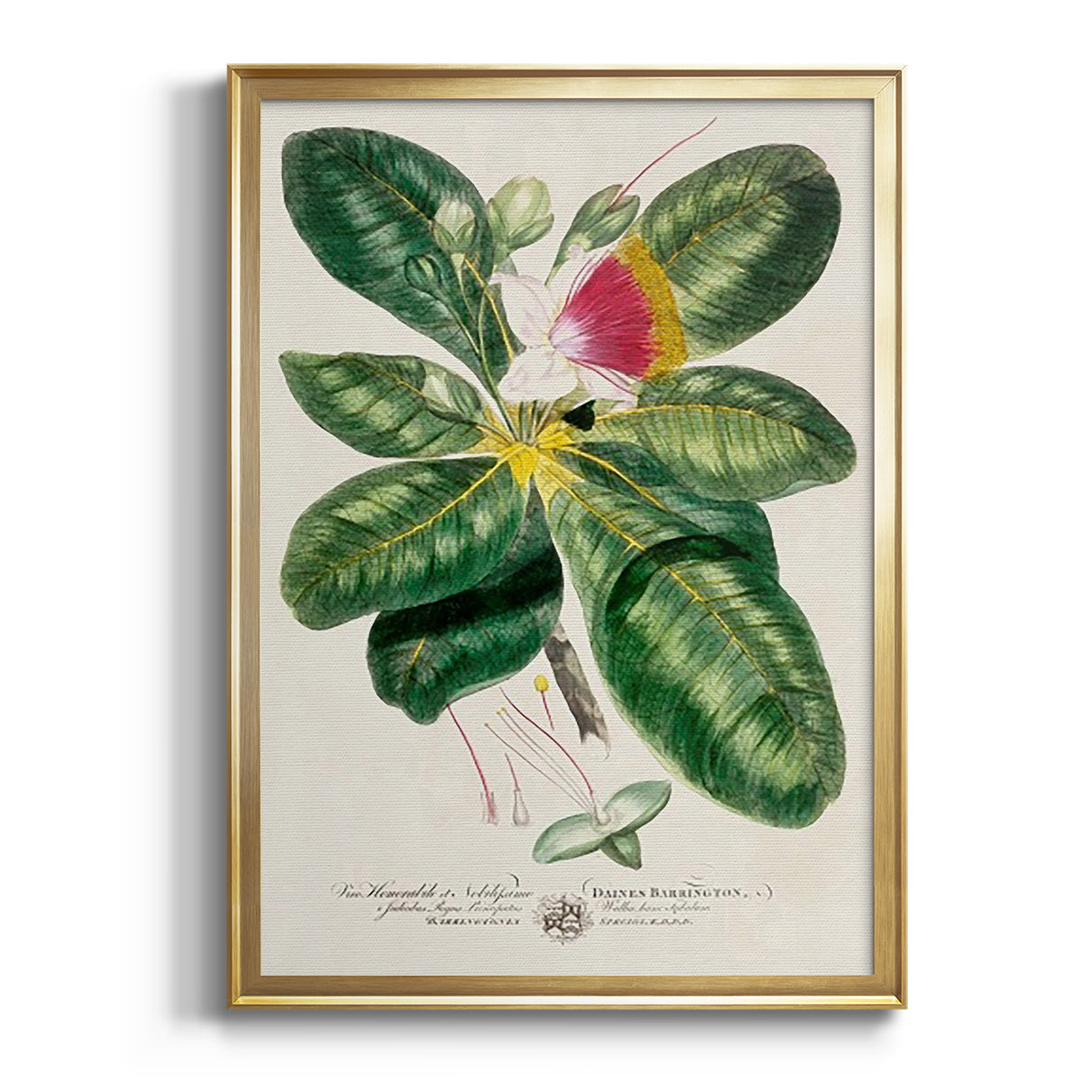 Imperial Tropical Botanical I - Modern Framed Canvas Print