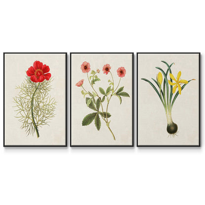 Flowers of the Seasons VI - Framed Premium Gallery Wrapped Canvas L Frame 3 Piece Set - Ready to Hang