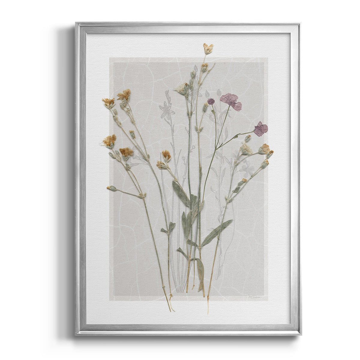 Field Study Page II - Modern Framed Canvas Print