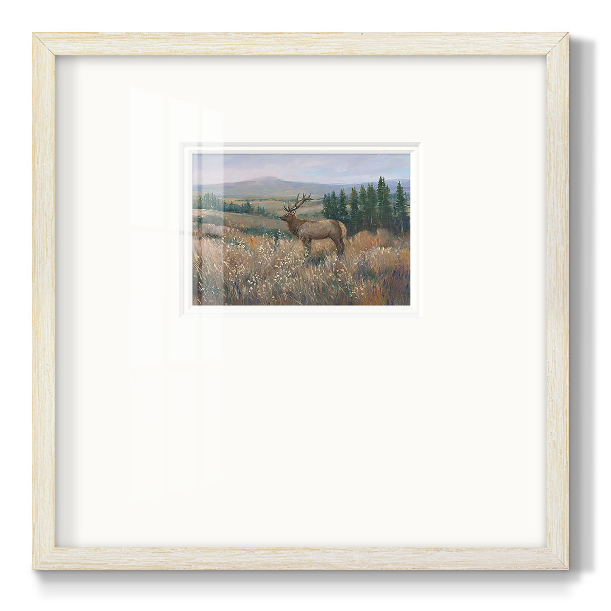 Western Wildlife II Premium Framed Print Double Matboard