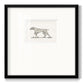 Neutral Pointer II - Double Matboard Framed Print