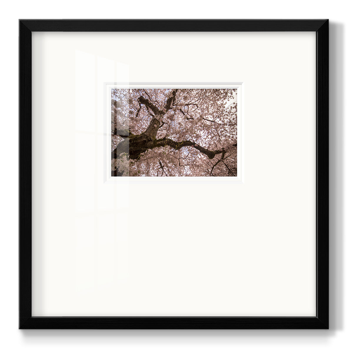 Spring's Arrival - Double Matboard Framed Print