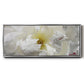 Breathless II - Floater Framed Canvas Print