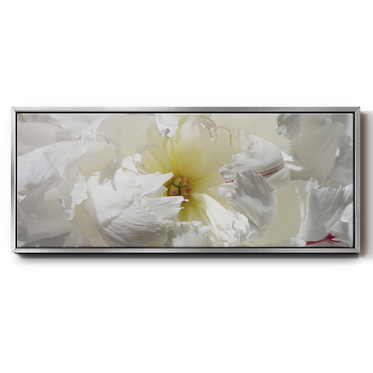 Breathless II - Floater Framed Canvas Print