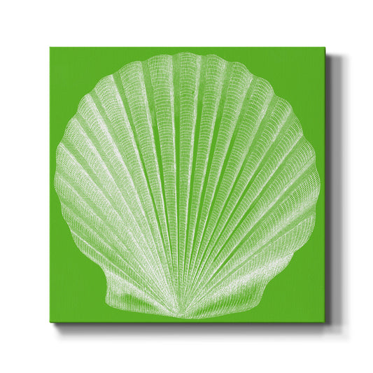 Saturated Shell II - Canvas Art Print