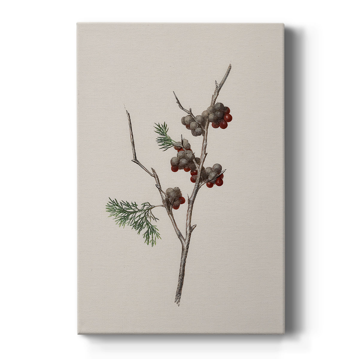 Snowwhite Dusk Square - Canvas Art Print