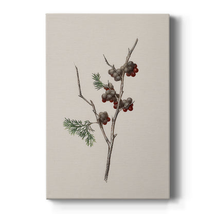 Snowwhite Dusk Square - Canvas Art Print