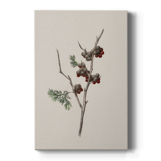 Snowwhite Dusk Square - Canvas Art Print