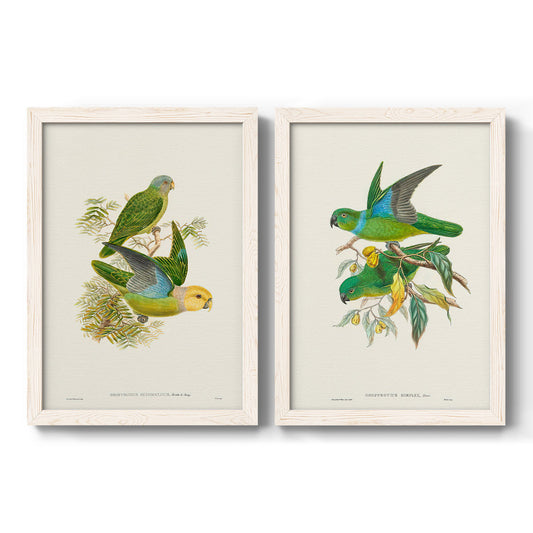 Lime & Cerulean Parrots I - Barnwood Framed Canvas Set