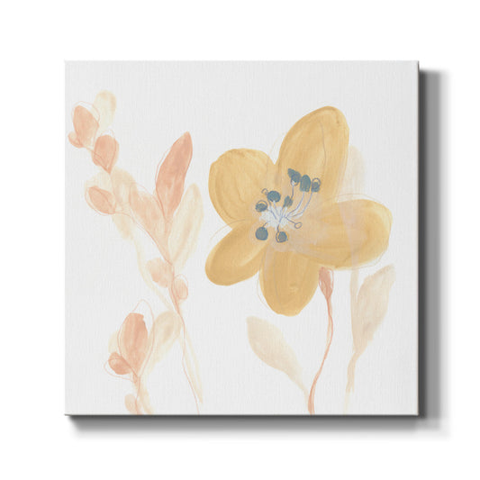 Petite Petals III - Canvas Art Print