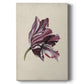 Antique Tulip Study III Premium Gallery Wrapped Canvas - Ready to Hang