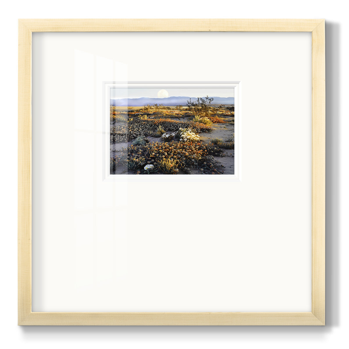 Anza Borrego Desert - Double Matboard Framed Print