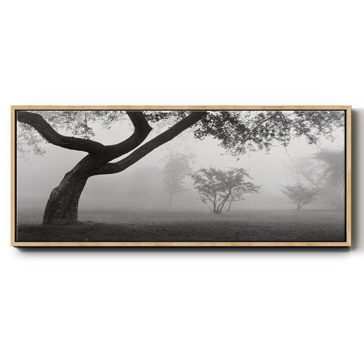 Morning Mist, Farmington Hills, Michigan - Floater Framed Canvas Print