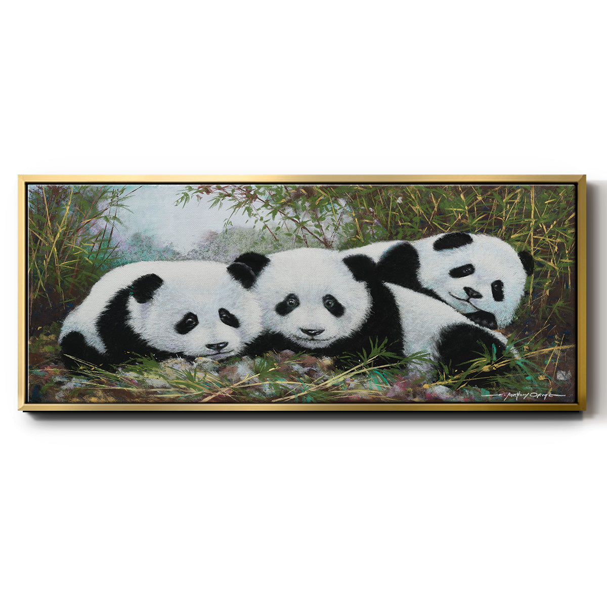 Panda Play - Floater Framed Canvas Print