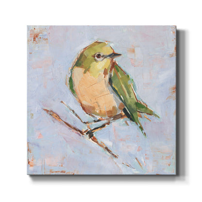 Bird Variety II - Canvas Art Print