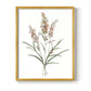 Dainty Botanical I - Restickable Framed Art Print