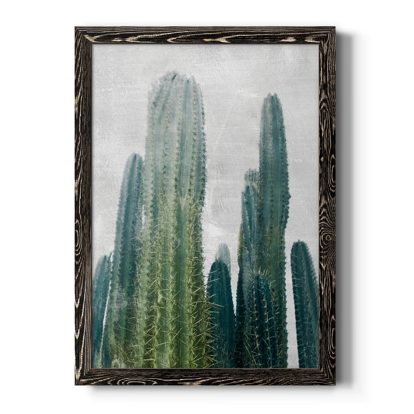 Aruba Cacti I - Barnwood Framed Canvas Print