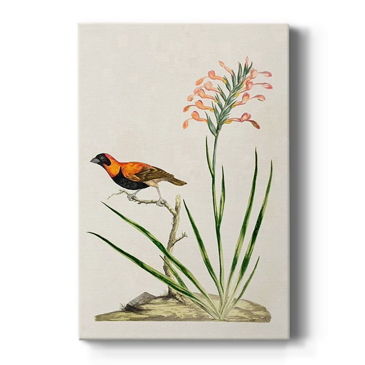 Bird in Habitat III Premium Gallery Wrapped Canvas - Ready to Hang