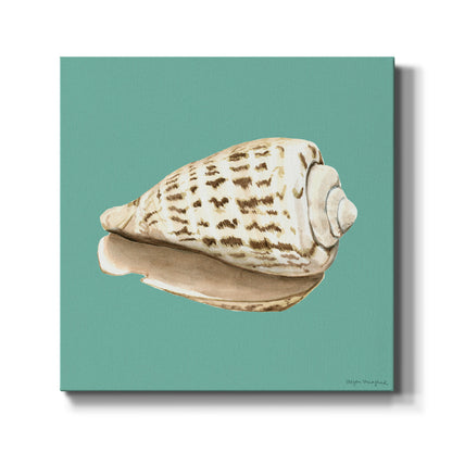 Shell on Aqua II - Canvas Art Print