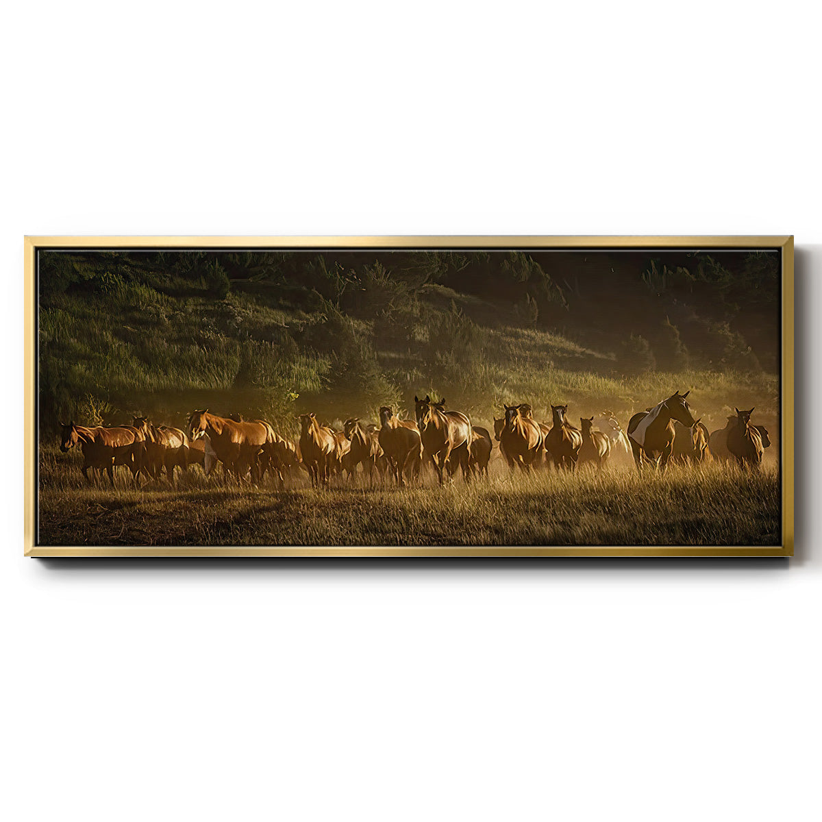 Wild and Free III - Floater Framed Canvas Print