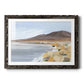 Desert Oasis Study I - Barnwood Framed Art Print