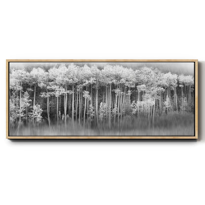 Dreamy Aspen - Floater Framed Canvas Print
