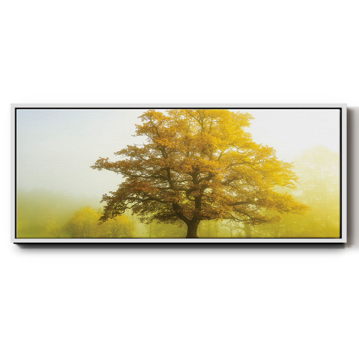 The Sentinel - Floater Framed Canvas Print