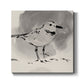 Inky Plover III - Canvas Art Print