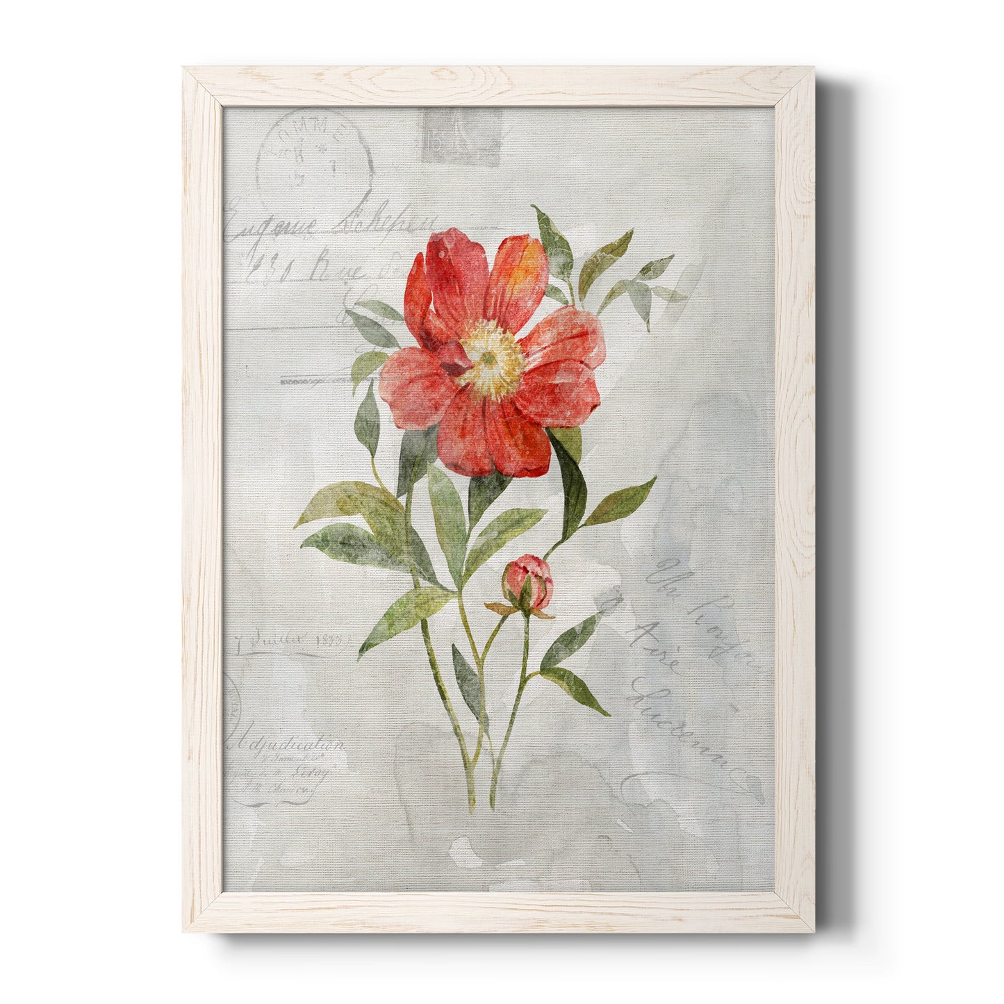 Linen Peony - Premium Canvas Framed in Barnwood - Ready to Hang