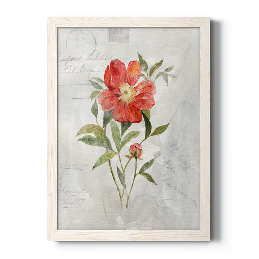 Linen Peony - Barnwood Framed Canvas Print