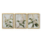 Floral Study Series LXXXVII - Restickable Framed Art Set