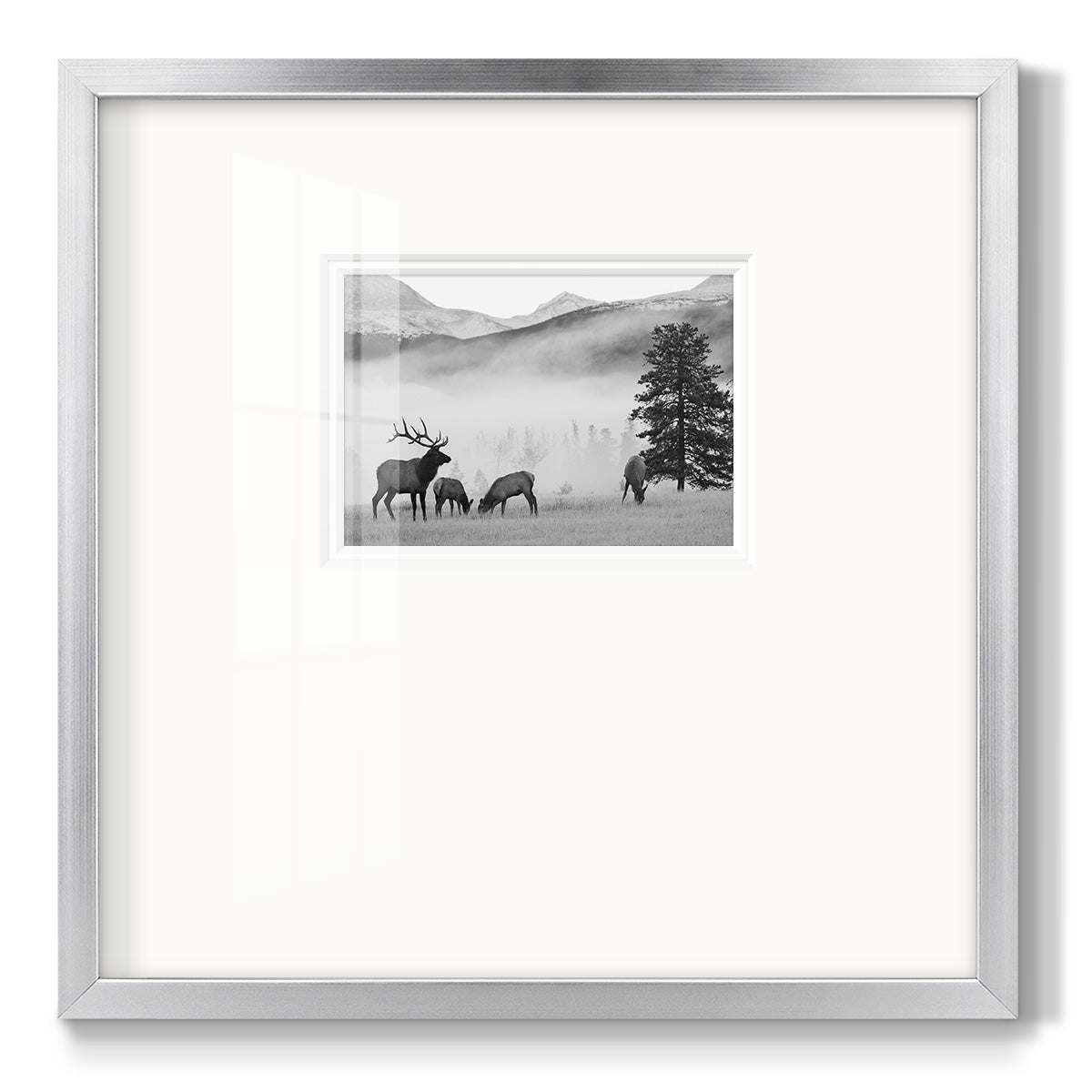 Mountain Elk Premium Framed Print Double Matboard