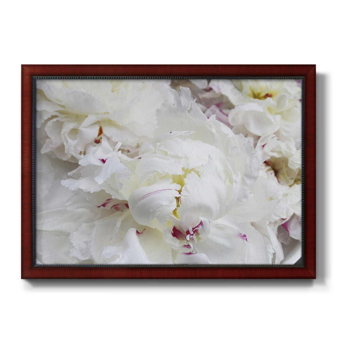 Breathless VI - Ornate Framed Canvas Print