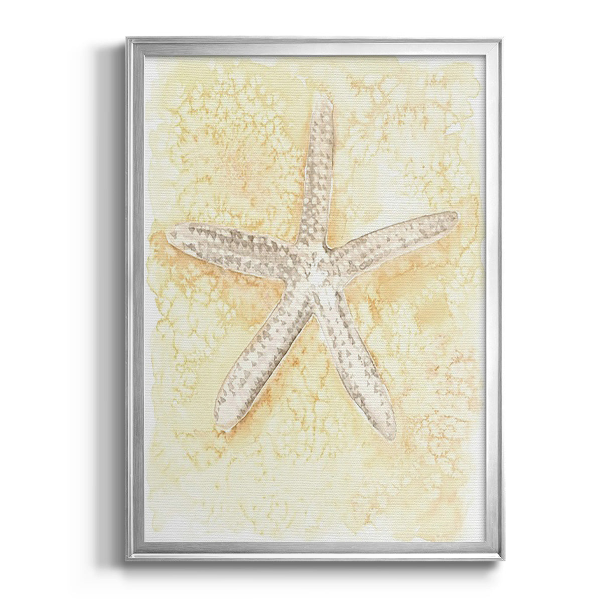 Salty Seashell I - Modern Framed Canvas Print