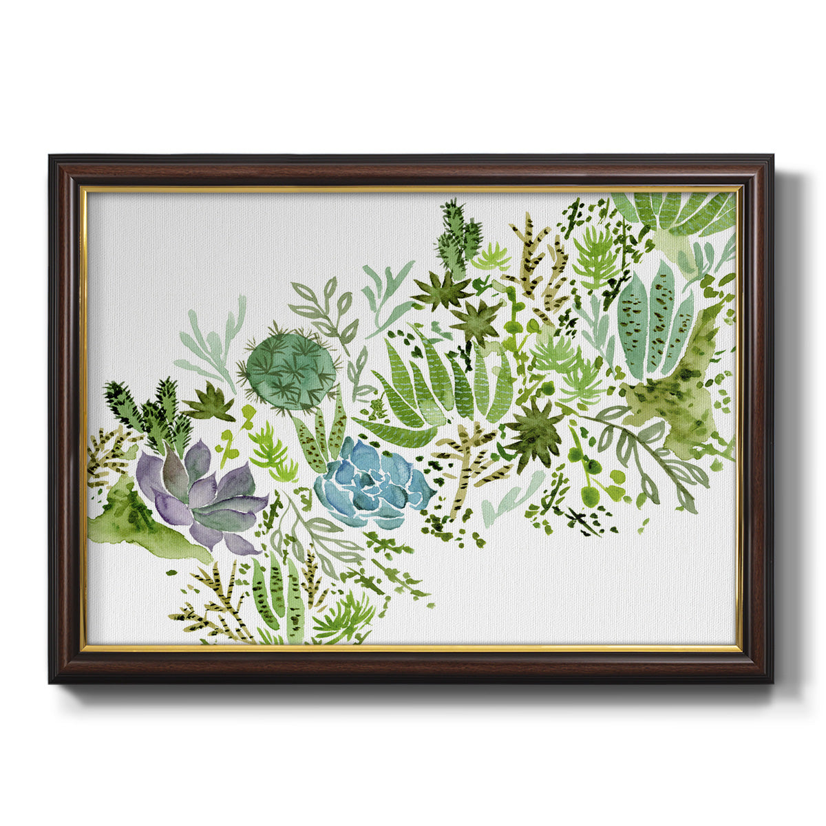 Succulent Field I Premium Framed Canvas- Ready to Hang