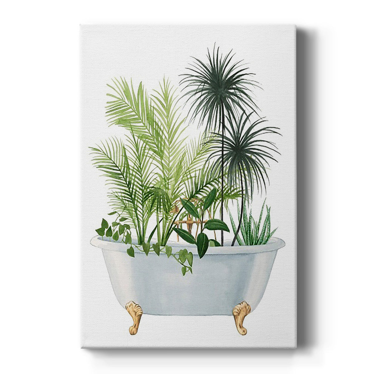 Plant Bath II Premium Gallery Wrapped Canvas - Ready to Hang