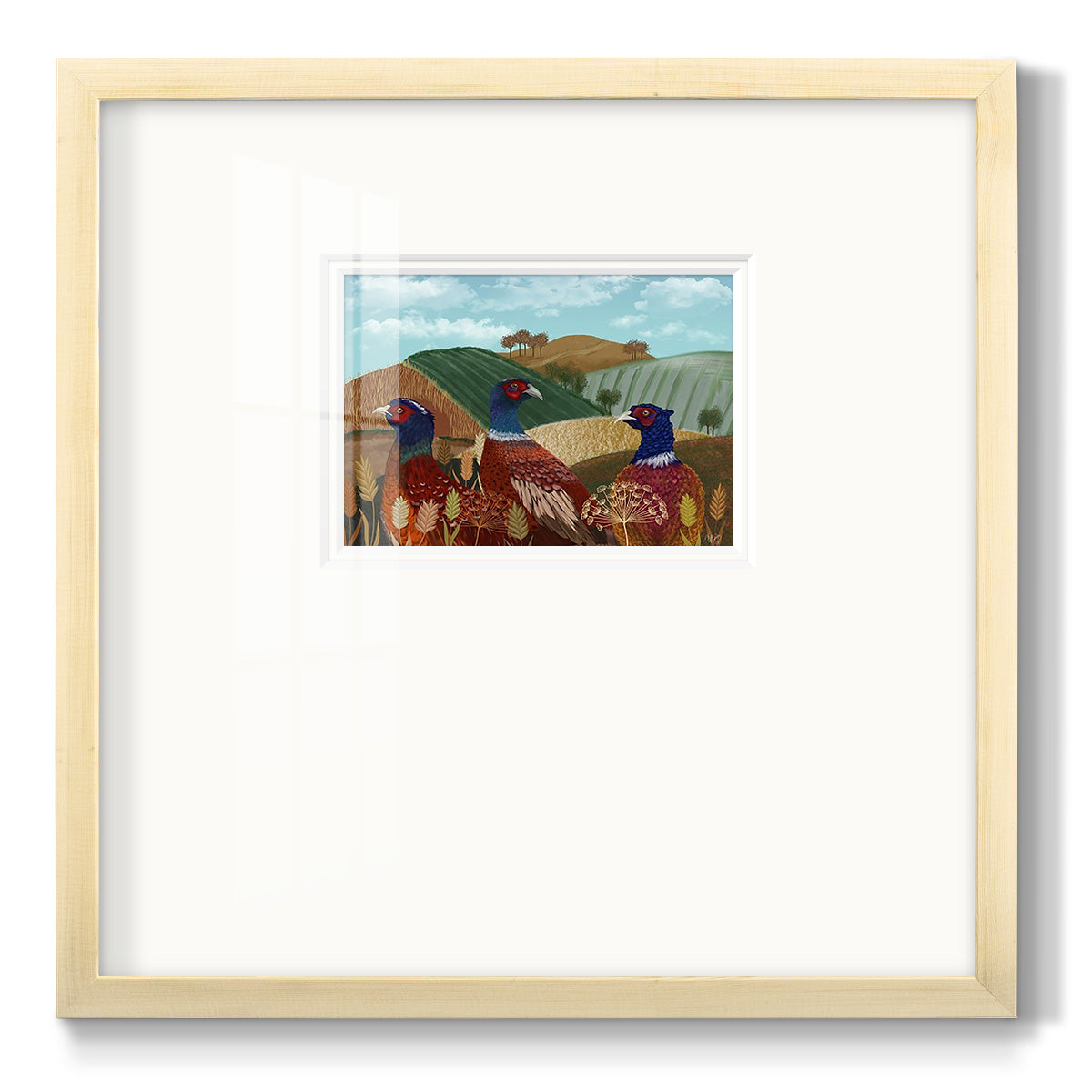 Pheasant Trio in Field - Double Matboard Framed Print