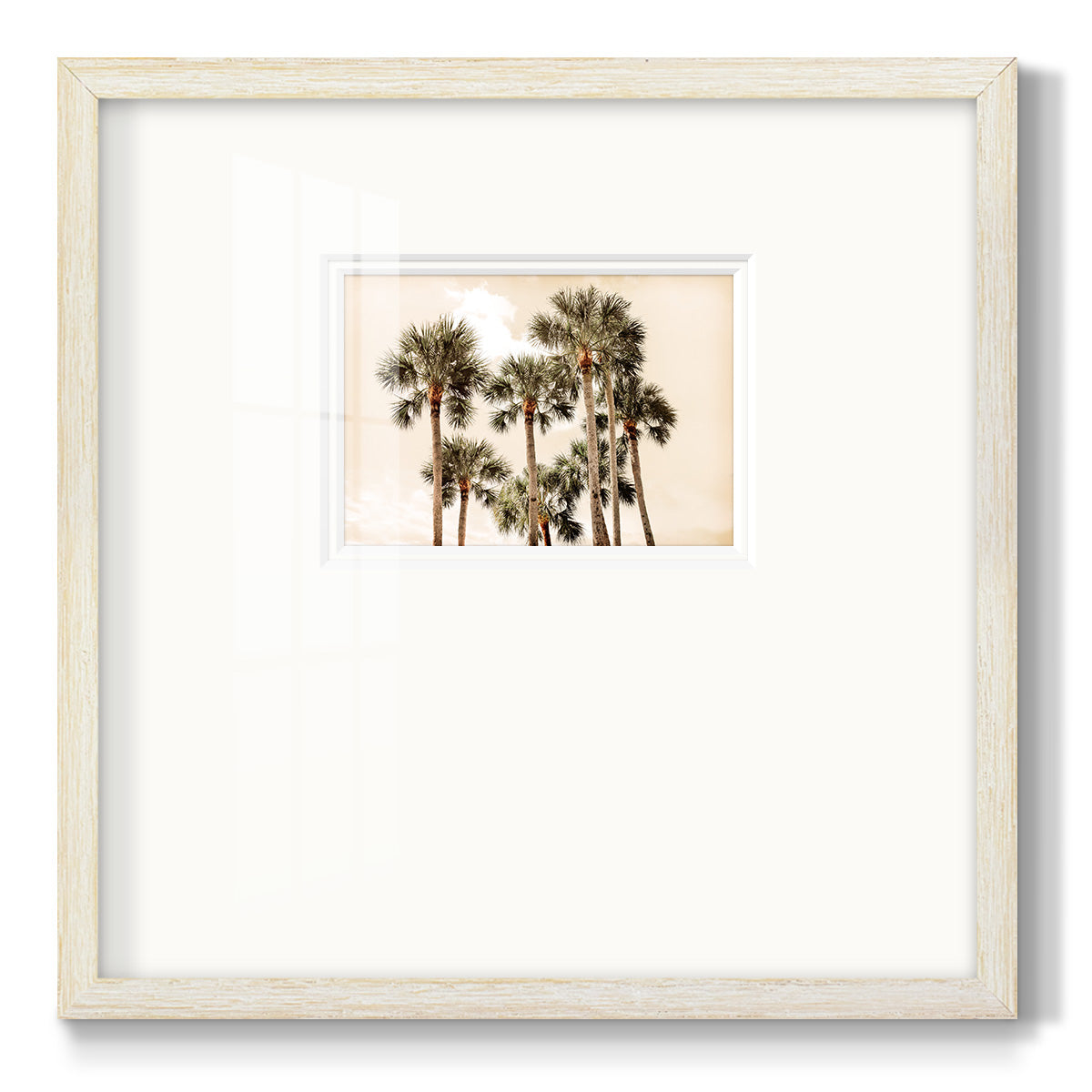 Blushing Palms Premium Framed Print Double Matboard