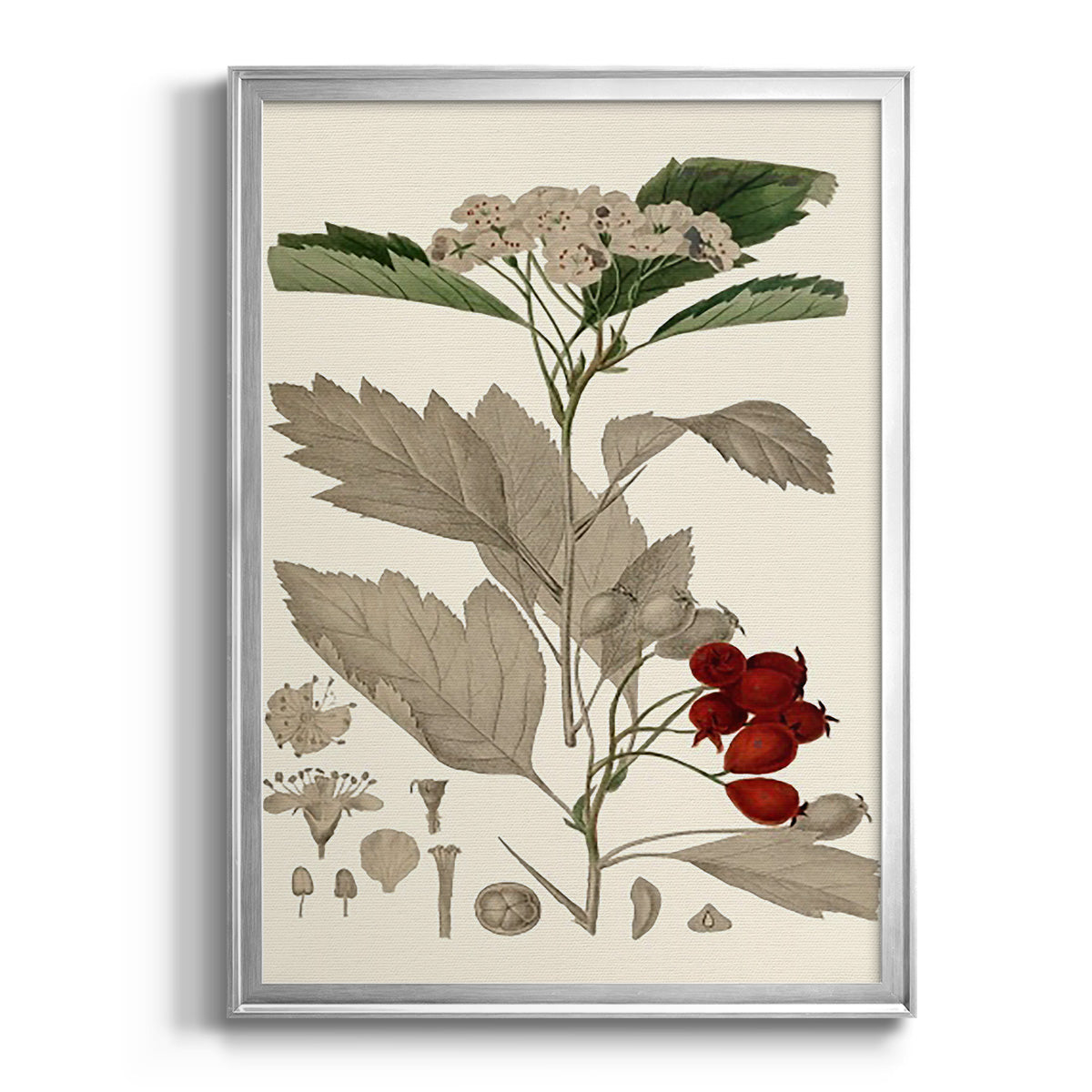 Leaves & Berries I - Modern Framed Canvas Print