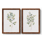 Eucalyptus I   - Premium Framed Canvas 2 Piece Set - Ready to Hang