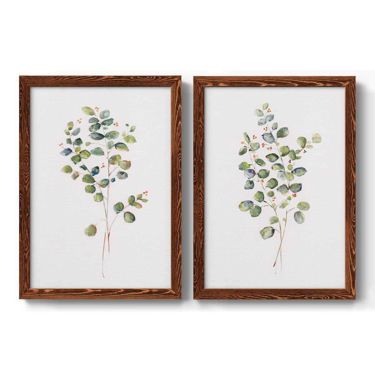 Eucalyptus I   - Premium Framed Canvas 2 Piece Set - Ready to Hang