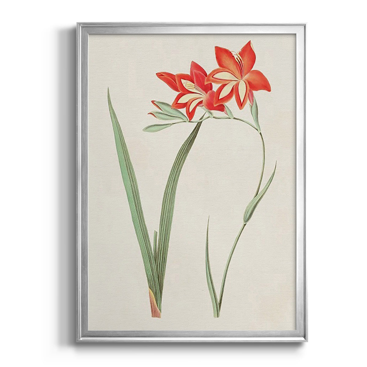 Flowers of the Seasons IV - Modern Framed Canvas Print